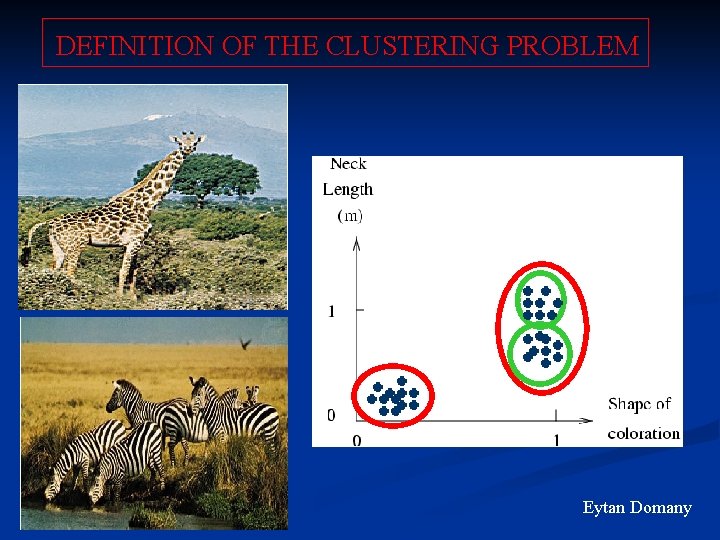 DEFINITION OF THE CLUSTERING PROBLEM Eytan Domany 