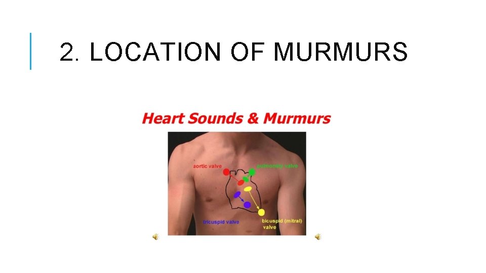 2. LOCATION OF MURMURS 