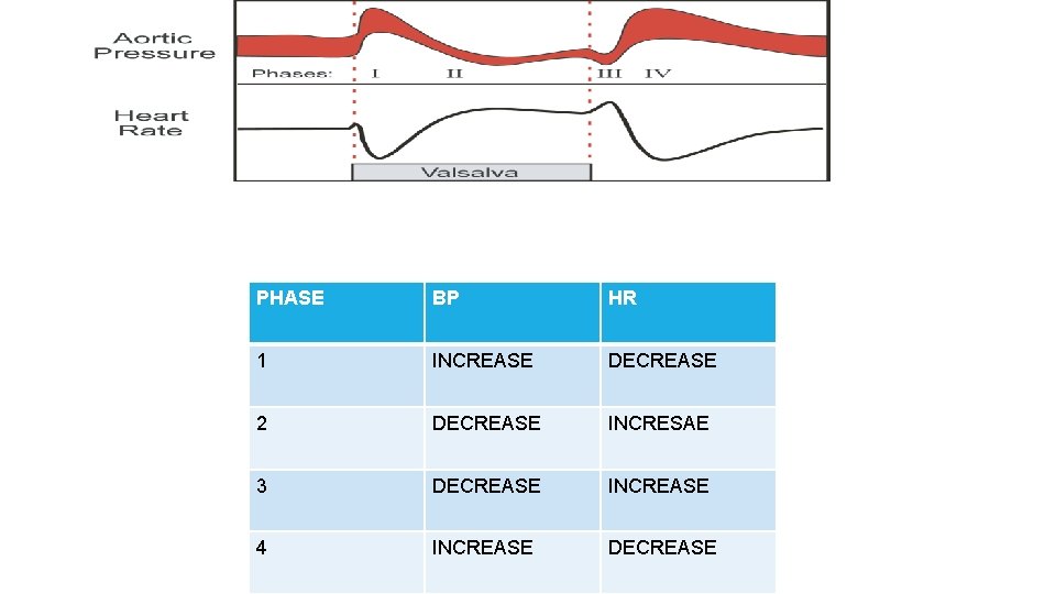 PHASE BP HR 1 INCREASE DECREASE 2 DECREASE INCRESAE 3 DECREASE INCREASE 4 INCREASE