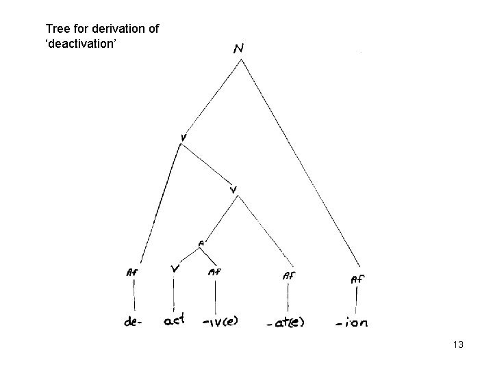 Tree for derivation of ‘deactivation’ 13 