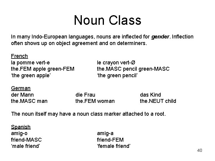 Noun Class In many Indo-European languages, nouns are inflected for gender. Inflection often shows