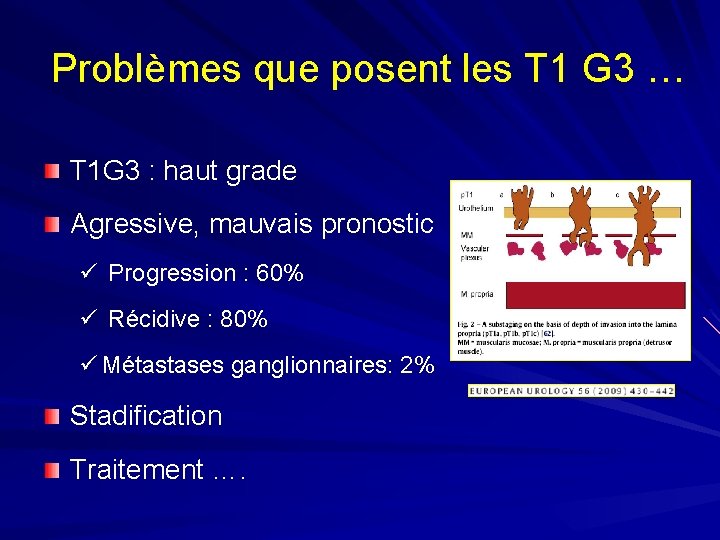 Problèmes que posent les T 1 G 3 … T 1 G 3 :
