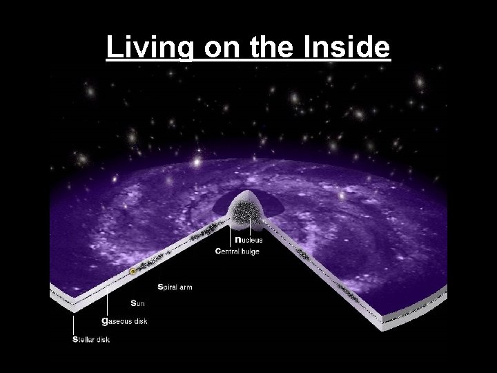 Living on the Inside 