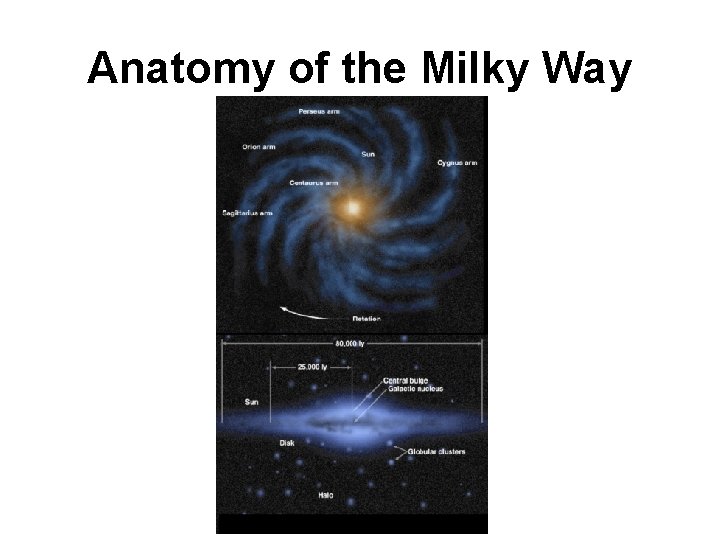 Anatomy of the Milky Way 