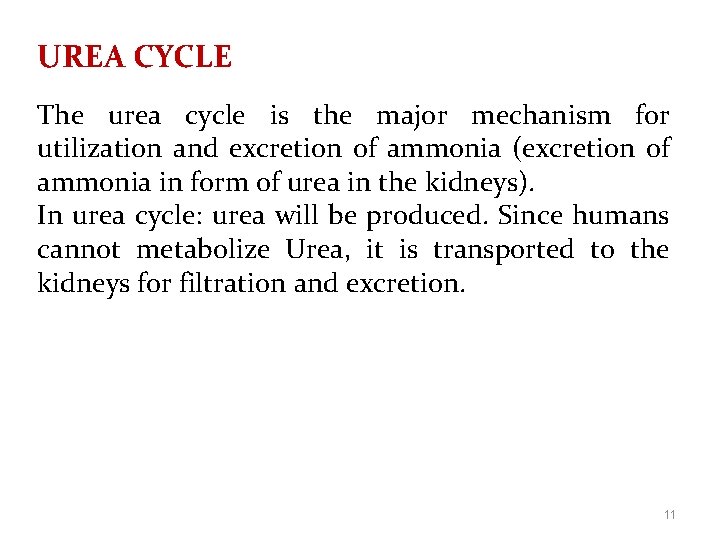 UREA CYCLE The urea cycle is the major mechanism for utilization and excretion of