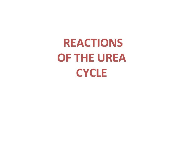 REACTIONS OF THE UREA CYCLE 