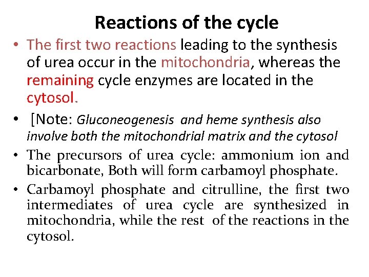 Reactions of the cycle • The first two reactions leading to the synthesis of