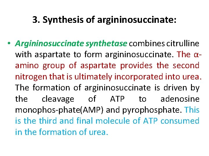 3. Synthesis of argininosuccinate: • Argininosuccinate synthetase combines citrulline with aspartate to form argininosuccinate.