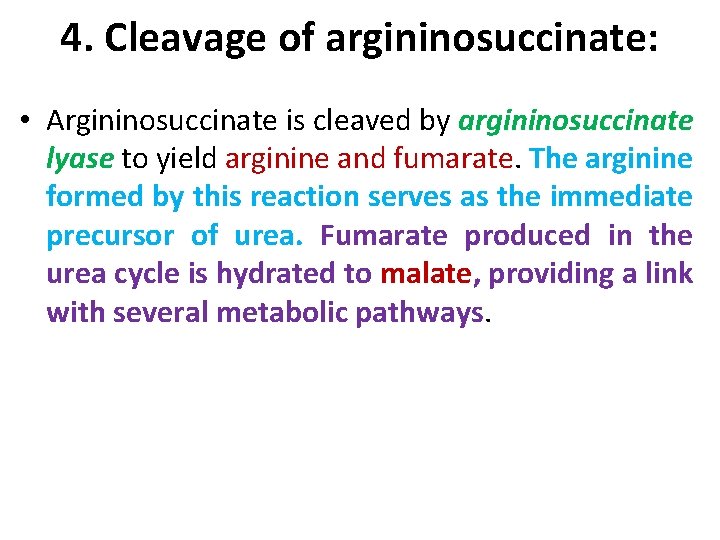 4. Cleavage of argininosuccinate: • Argininosuccinate is cleaved by argininosuccinate lyase to yield arginine