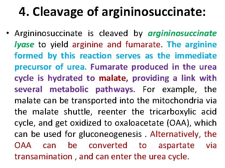 4. Cleavage of argininosuccinate: • Argininosuccinate is cleaved by argininosuccinate lyase to yield arginine