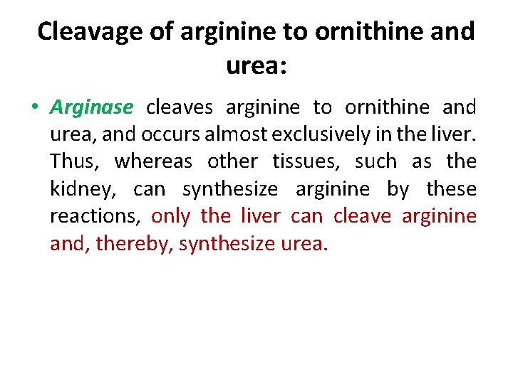 Cleavage of arginine to ornithine and urea: • Arginase cleaves arginine to ornithine and