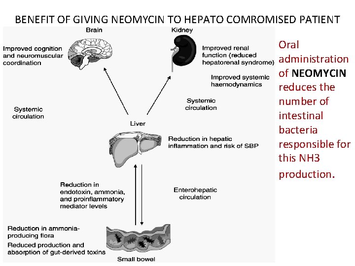 BENEFIT OF GIVING NEOMYCIN TO HEPATO COMROMISED PATIENT Oral administration of NEOMYCIN reduces the