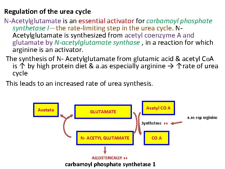 Regulation of the urea cycle N Acetylglutamate is an essential activator for carbamoyl phosphate