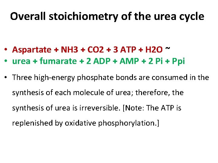 Overall stoichiometry of the urea cycle • Aspartate + NH 3 + CO 2