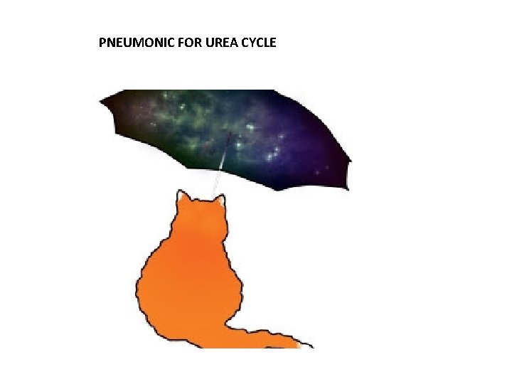 PNEUMONIC FOR UREA CYCLE 