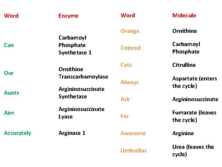 Word Enzyme Can Carbamoyl Phosphate Synthetase 1 Our Ornithine Transcarbamoylase Word Molecule Orange Ornithine