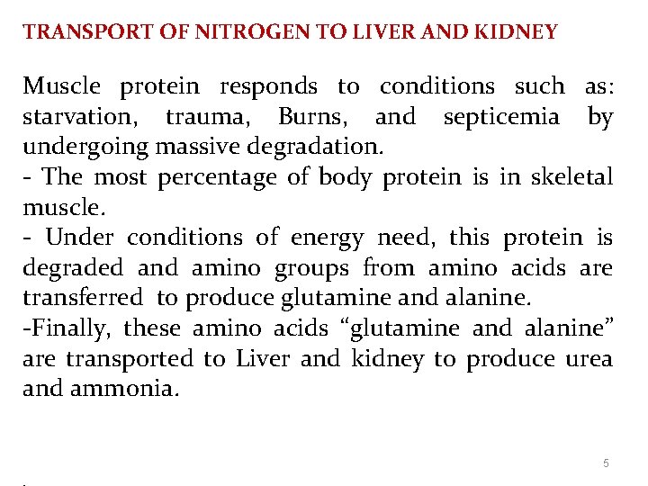 TRANSPORT OF NITROGEN TO LIVER AND KIDNEY Muscle protein responds to conditions such as: