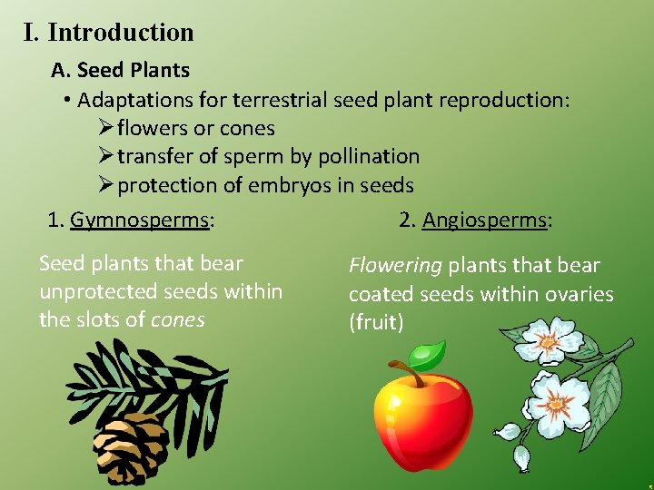 I. Introduction A. Seed Plants • Adaptations for terrestrial seed plant reproduction: Ø flowers