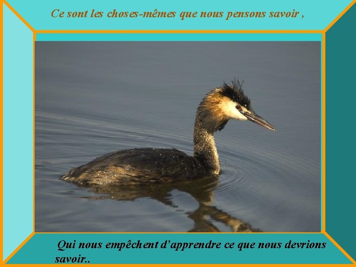 Ce sont les choses-mêmes que nous pensons savoir , Qui nous empêchent d’apprendre ce Ce sont les choses-mêmes que nous pensons savoir , Qui nous empêchent d’apprendre ce