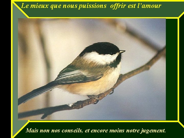 Le mieux que nous puissions offrir est l’amour Mais non nos conseils, et encore