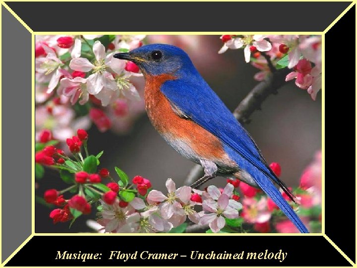 Musique: Floyd Cramer – Unchained melody Musique: Floyd Cramer – Unchained melody