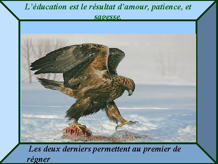 L’éducation est le résultat d’amour, patience, et sagesse. Les deux derniers permettent au premier