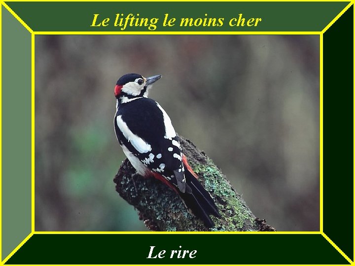 Le lifting le moins cher Le rire Le lifting le moins cher Le rire