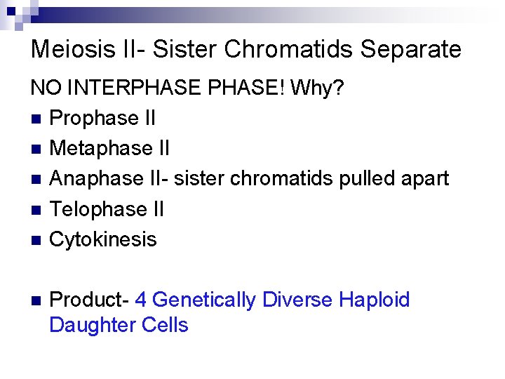 Meiosis II- Sister Chromatids Separate NO INTERPHASE! Why? n Prophase II n Metaphase II