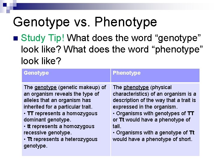 Genotype vs. Phenotype n Study Tip! What does the word “genotype” look like? What