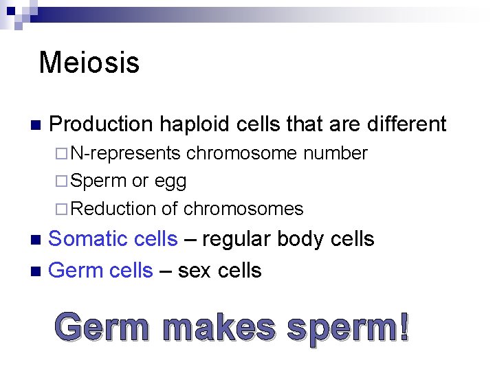 Meiosis n Production haploid cells that are different ¨ N-represents chromosome number ¨ Sperm