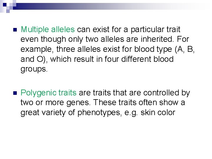n Multiple alleles can exist for a particular trait even though only two alleles