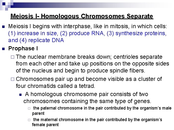 Meiosis I- Homologous Chromosomes Separate n n Meiosis I begins with interphase, like in