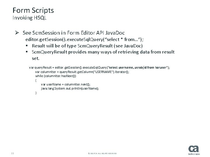 Form Scripts Invoking HSQL Ø See Scm. Session in Form Editor API Java. Doc