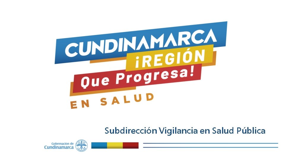 Subdirección Vigilancia en Salud Pública 