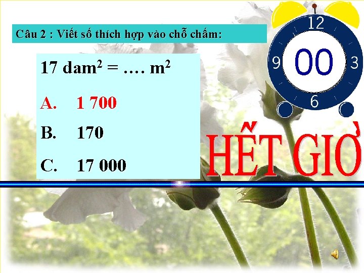 Câu 2 : Viết số thích hợp vào chỗ chấm: 17 dam 2 =