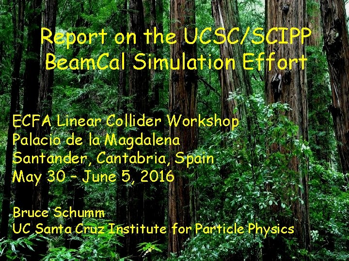 Report on the UCSC/SCIPP Beam. Cal Simulation Effort ECFA Linear Collider Workshop Palacio de