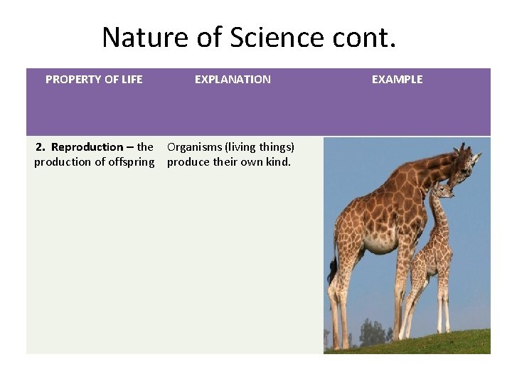 Nature of Science cont. PROPERTY OF LIFE EXPLANATION 2. Reproduction – the Organisms (living Nature of Science cont. PROPERTY OF LIFE EXPLANATION 2. Reproduction – the Organisms (living