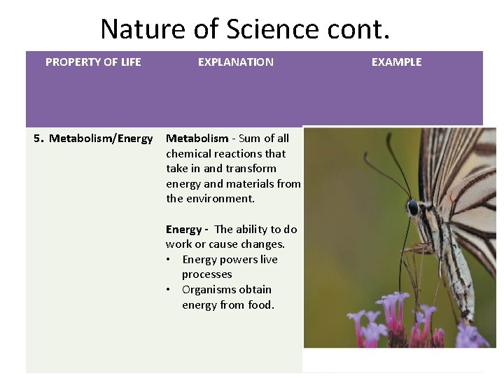 Nature of Science cont. PROPERTY OF LIFE EXPLANATION 5. Metabolism/Energy Metabolism - Sum of Nature of Science cont. PROPERTY OF LIFE EXPLANATION 5. Metabolism/Energy Metabolism - Sum of
