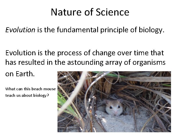 Nature of Science Evolution is the fundamental principle of biology. Evolution is the process Nature of Science Evolution is the fundamental principle of biology. Evolution is the process