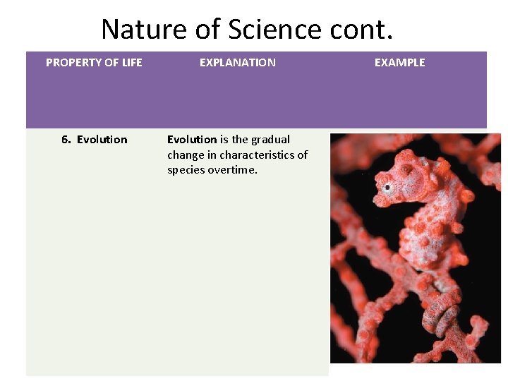 Nature of Science cont. PROPERTY OF LIFE EXPLANATION 6. Evolution is the gradual change Nature of Science cont. PROPERTY OF LIFE EXPLANATION 6. Evolution is the gradual change