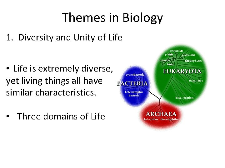 Themes in Biology 1. Diversity and Unity of Life • Life is extremely diverse, Themes in Biology 1. Diversity and Unity of Life • Life is extremely diverse,