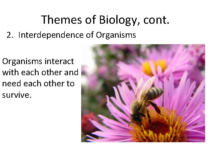 Themes of Biology, cont. 2. Interdependence of Organisms interact with each other and need Themes of Biology, cont. 2. Interdependence of Organisms interact with each other and need