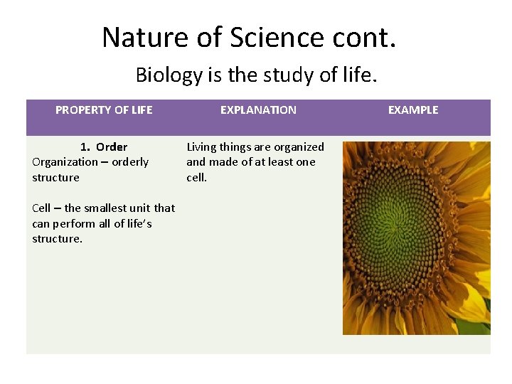 Nature of Science cont. Biology is the study of life. PROPERTY OF LIFE 1. Nature of Science cont. Biology is the study of life. PROPERTY OF LIFE 1.