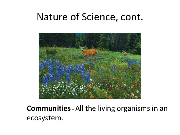 Nature of Science, cont. Communities – All the living organisms in an ecosystem. Nature of Science, cont. Communities – All the living organisms in an ecosystem.