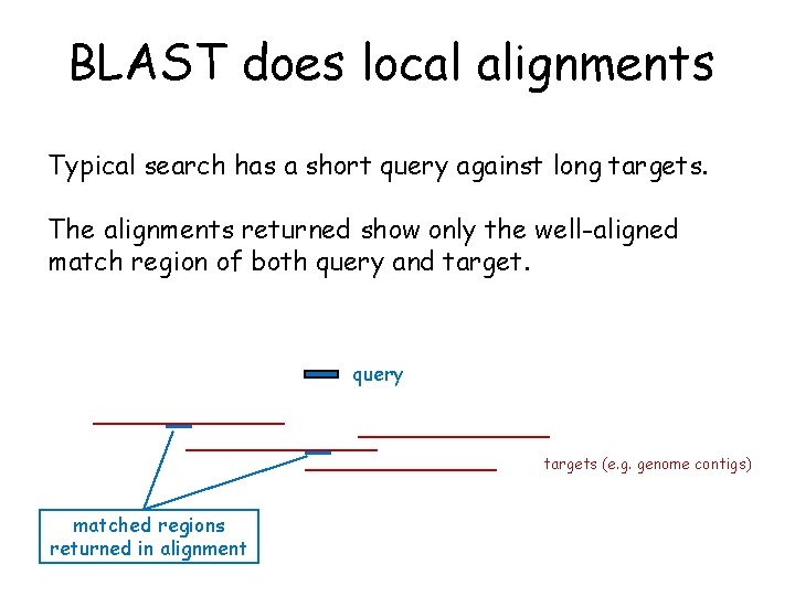 BLAST does local alignments Typical search has a short query against long targets. The