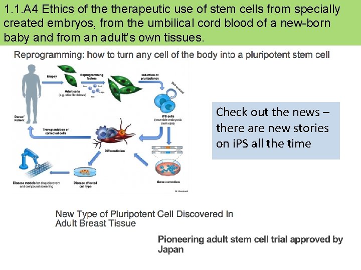 1. 1. A 4 Ethics of therapeutic use of stem cells from specially created