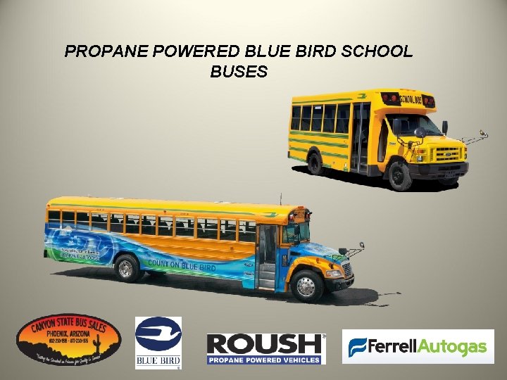 PROPANE POWERED BLUE BIRD SCHOOL BUSES 