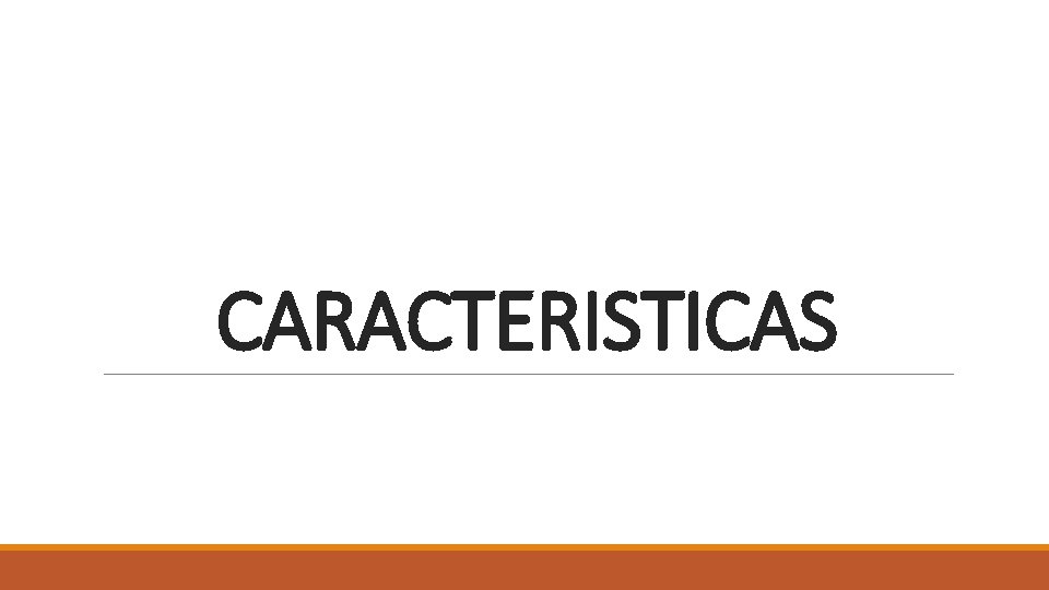 CARACTERISTICAS 