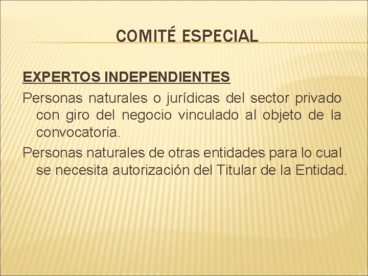 COMITÉ ESPECIAL EXPERTOS INDEPENDIENTES Personas naturales o jurídicas del sector privado con giro del