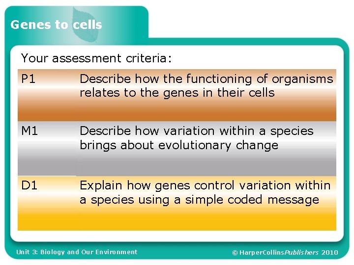 Genes to cells Your assessment criteria P 1